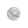 American Platinum Eagle 1/10 oz
