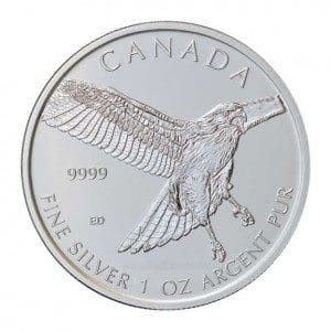 Canadian Silver Red Tailed Hawk 1 oz